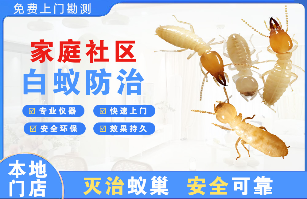 鄂州家庭社区白蚁防治