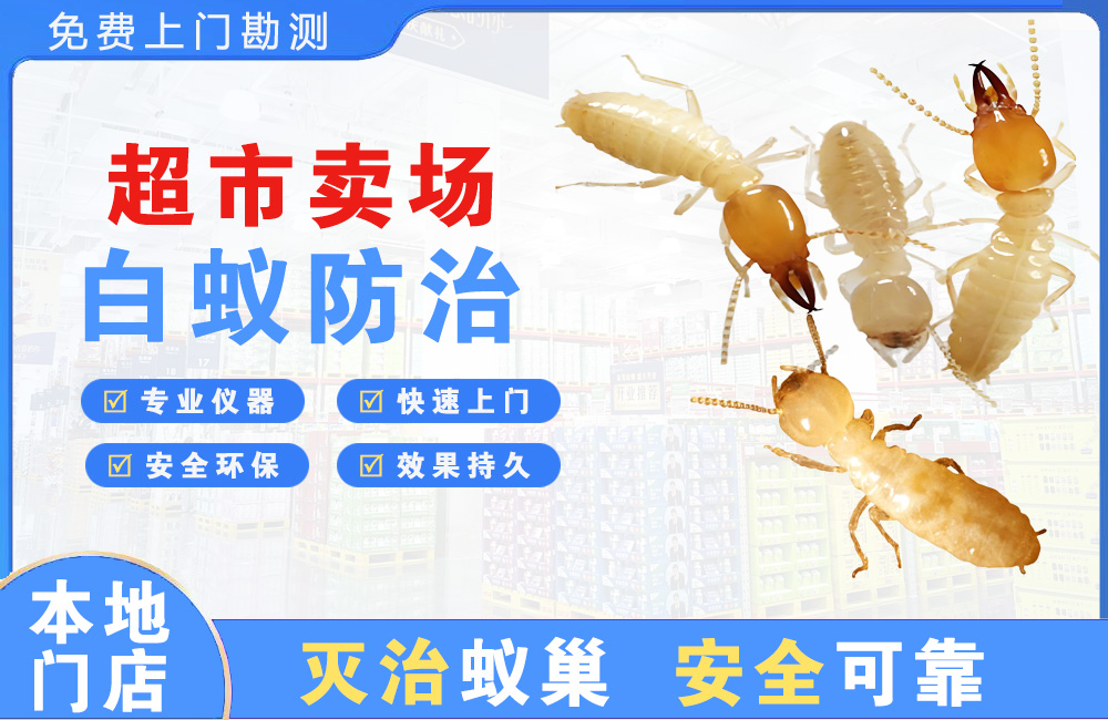 鄂州超市卖场白蚁防治