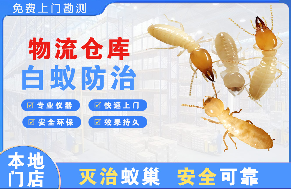 鄂州物流仓库白蚁防治