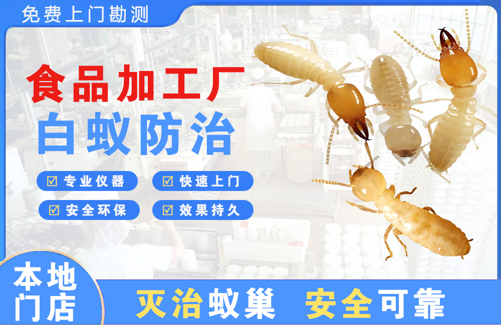 鄂州食品加工厂白蚁防治
