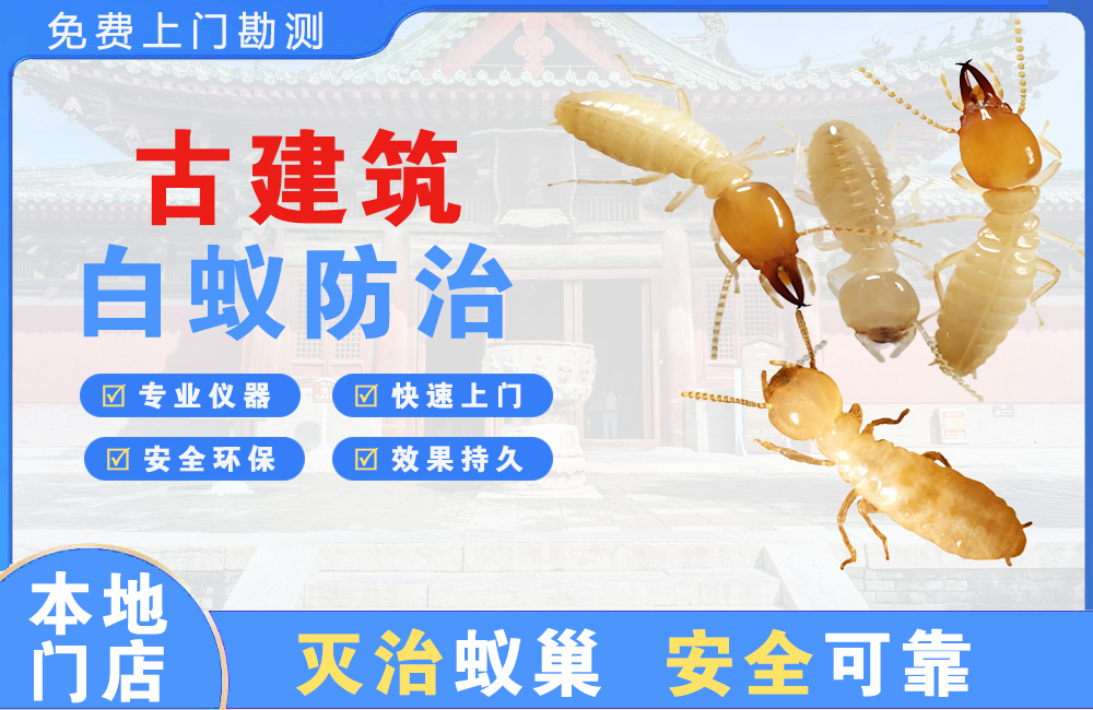 鄂州古建筑白蚁防治