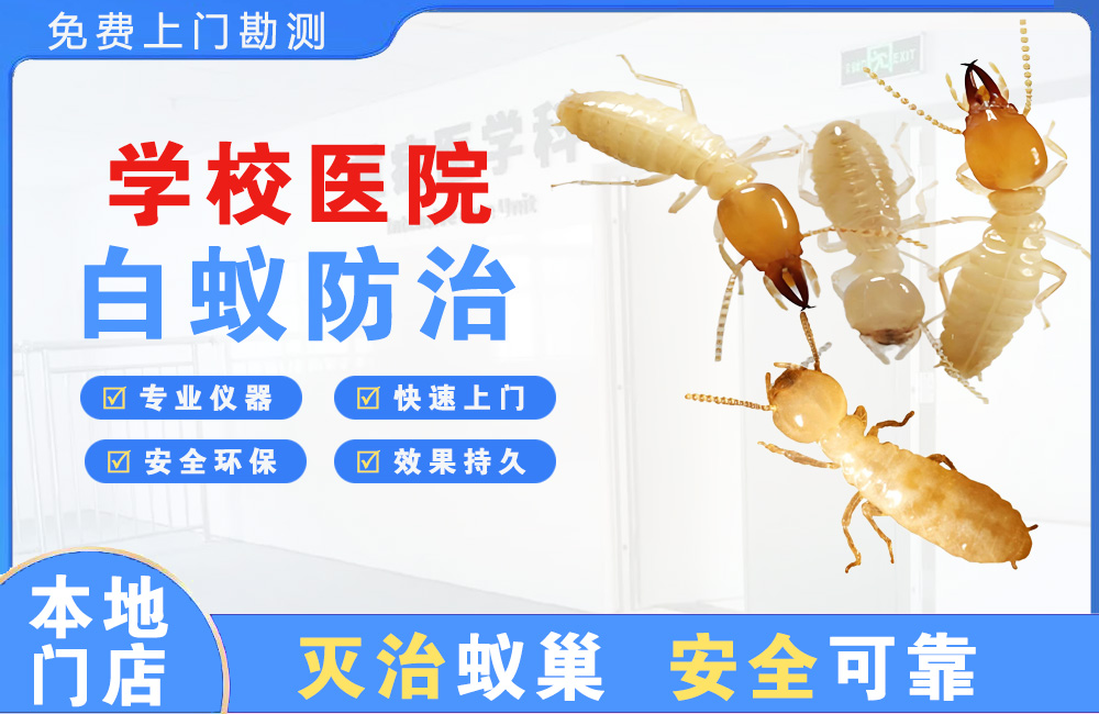 鄂州学校医院白蚁防治