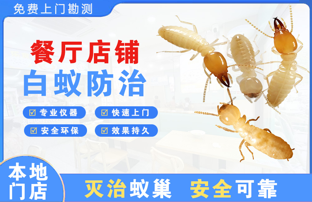 鄂州餐厅店铺白蚁防治